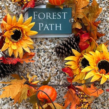 Forest Path Luxury Studio Apartment With Large Bedroom Bathroom And Sauna Sleeps Up To 4 Ballynahinch ภายนอก รูปภาพ