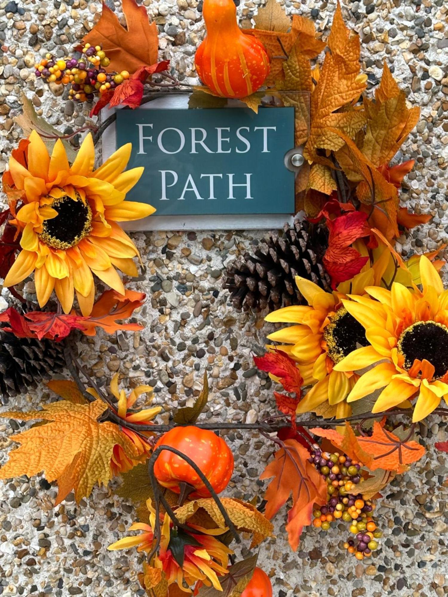 Forest Path Luxury Studio Apartment With Large Bedroom Bathroom And Sauna Sleeps Up To 4 Ballynahinch ภายนอก รูปภาพ